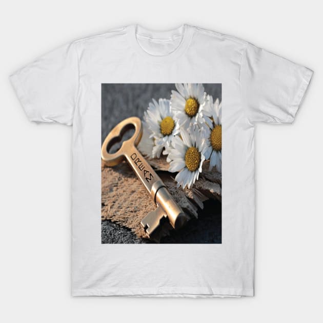 KEY DREAM Pop Art T-Shirt by BruceALMIGHTY Baker